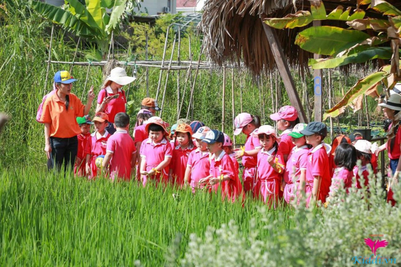 Trường Mầm non Canarykids Preschool