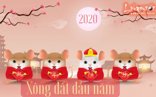 tuoi-xong-nha-hop-nhat-nam-2020-giup-gia-chu-phat-tai-phat-loc