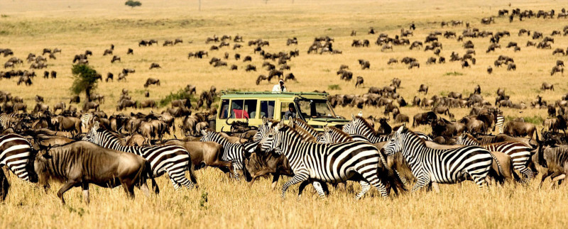Vườn quốc gia Kruger