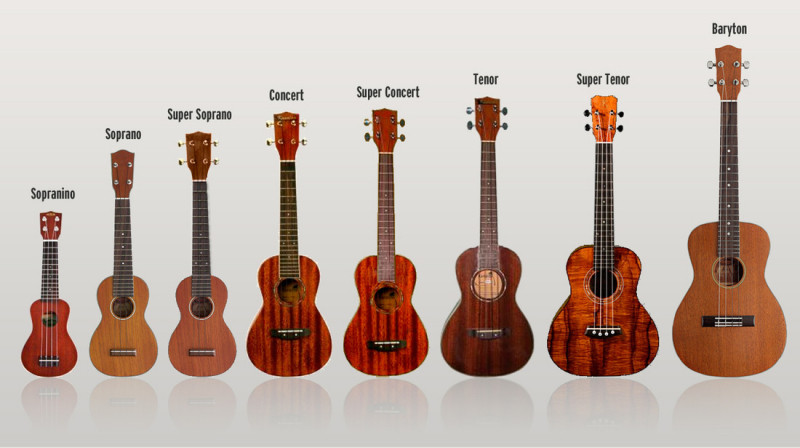 Chơi thử nhiều cây đàn ukulele khác nhau