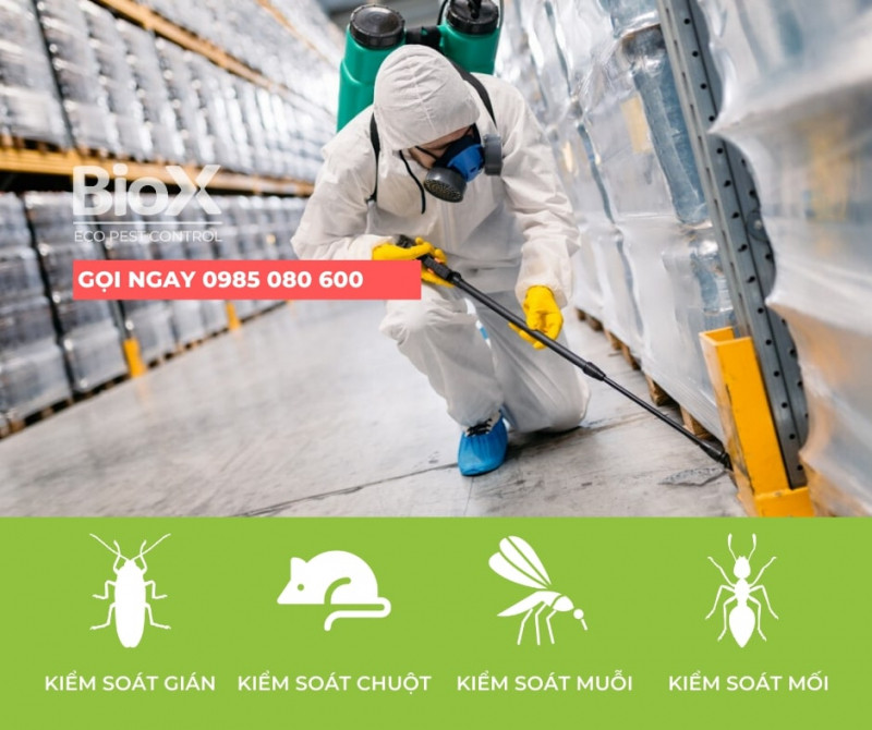 Công ty xử lý côn trùng Biox (Biox Eco Pest Control)