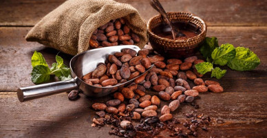 dia-chi-ban-bot-cacao-nguyen-chat-tot-nhat-tinh-quang-ngai