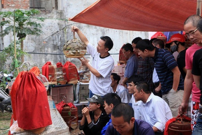 Chợ Chim Hoàng Hoa Thám