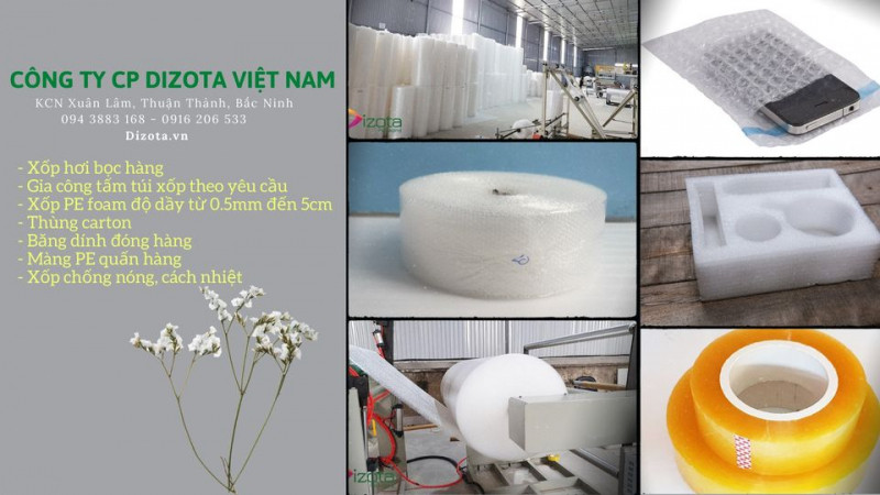 Công ty Cổ Phần Bao Bì Dizota Việt Nam