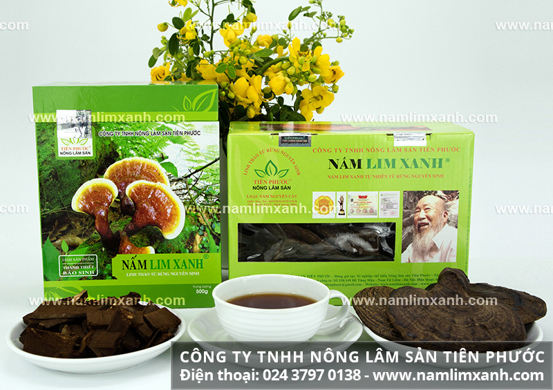 Sản phẩm nấm lim xanh tại hiệu thuốc Phan Hoa Lý