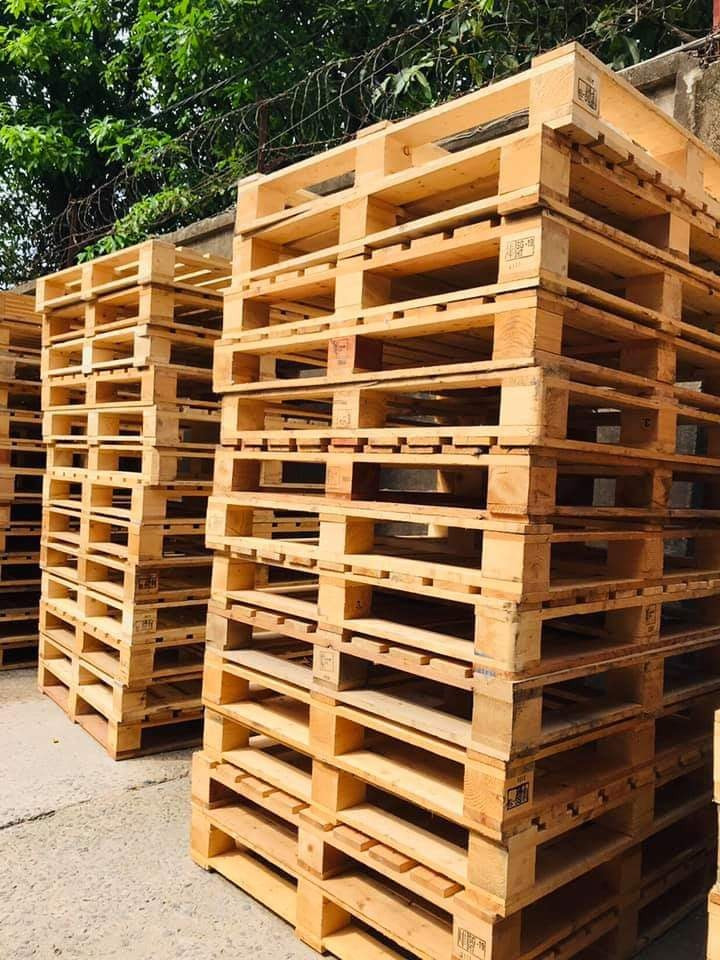 Pallet Gỗ Quy Nhơn