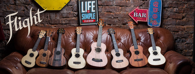Shop ukulele