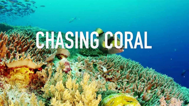 Chasing Coral (2017)