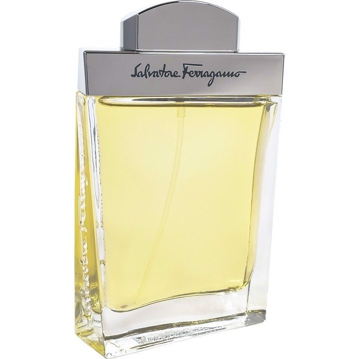 Salvatore Ferragamo Cologne Pour Homme EDT 100ml