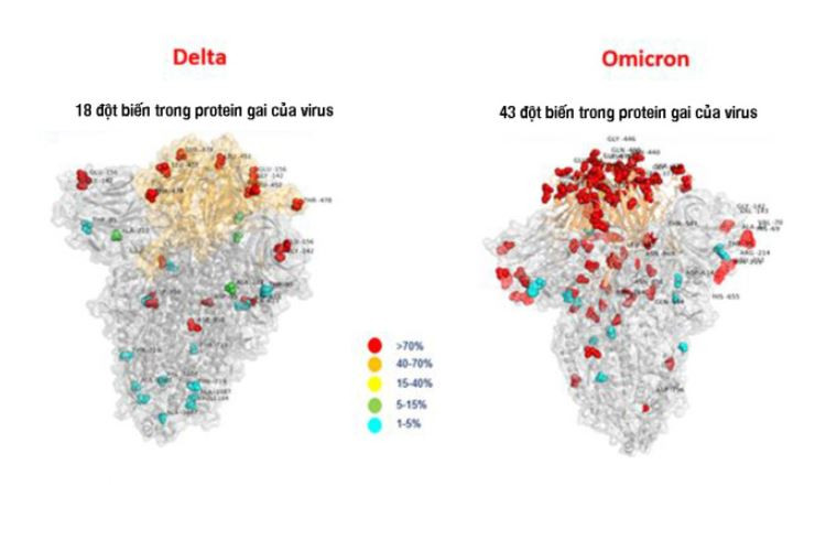Biến thể Omicron có đột biến cao gấp nhiều lần biến thể Delta. (Ảnh: vnexpress)