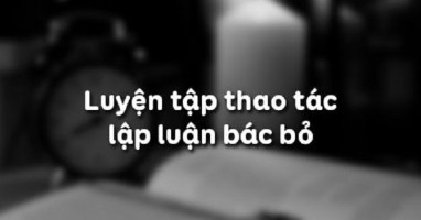 bai-soan-luyen-tap-thao-tac-lap-luan-bac-bo-ngu-van-11-hay-nhat