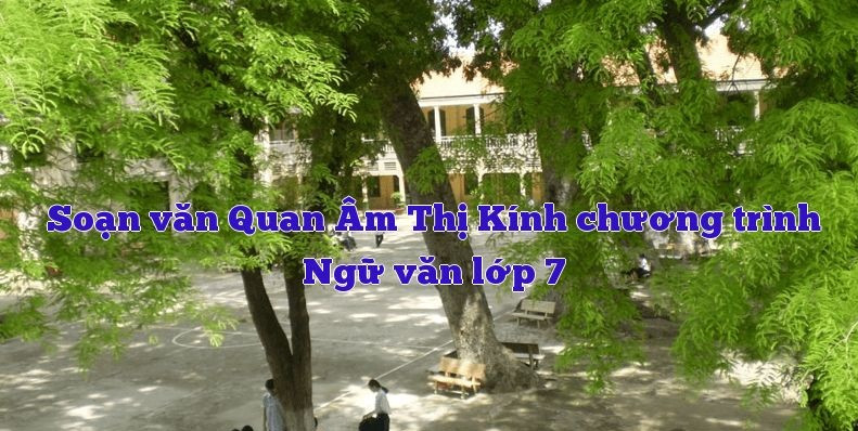 Ảnh minh họa (Nguồn internet)