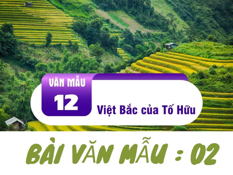 Bài tham khảo số 1