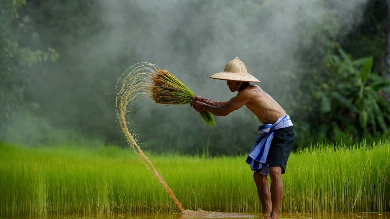 Bài cảm nhận về bài thơ 