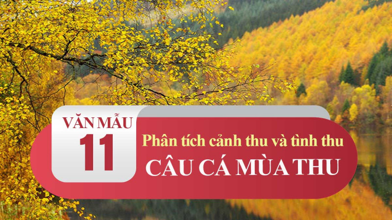 Bài văn cảm nhận số 10