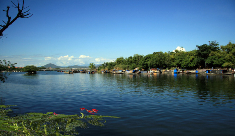 Bài tham khảo số 7