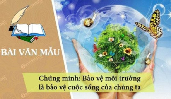 Ảnh minh họa (Nguồn internet)