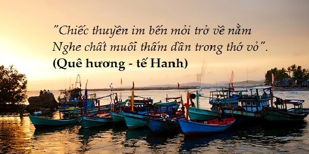 Hình minh hoạ