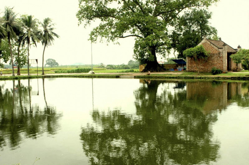 Bài văn phân tích bức tranh mùa thu qua bài 