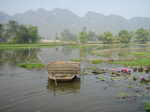 Bài văn phân tích bức tranh mùa thu qua bài 