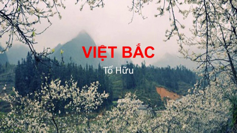 Bài văn phân tích bức tranh tứ bình trong bài thơ Việt Bắc số 5