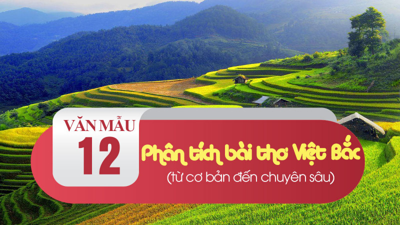 Bài văn phân tích bức tranh tứ bình trong bài thơ Việt Bắc số 6