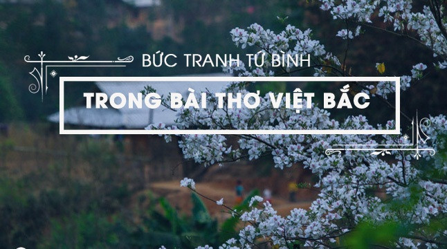 Bài văn phân tích bức tranh tứ bình trong bài thơ Việt Bắc số 10