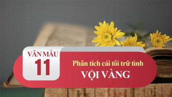 bai-van-phan-tich-cai-toi-tru-tinh-trong-bai-tho-voi-vang-cua-xuan-dieu-lop-11-hay-nhat