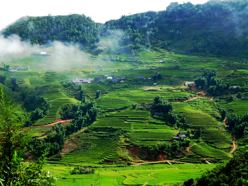 Bài văn phân tích đoạn 1 bài thơ 