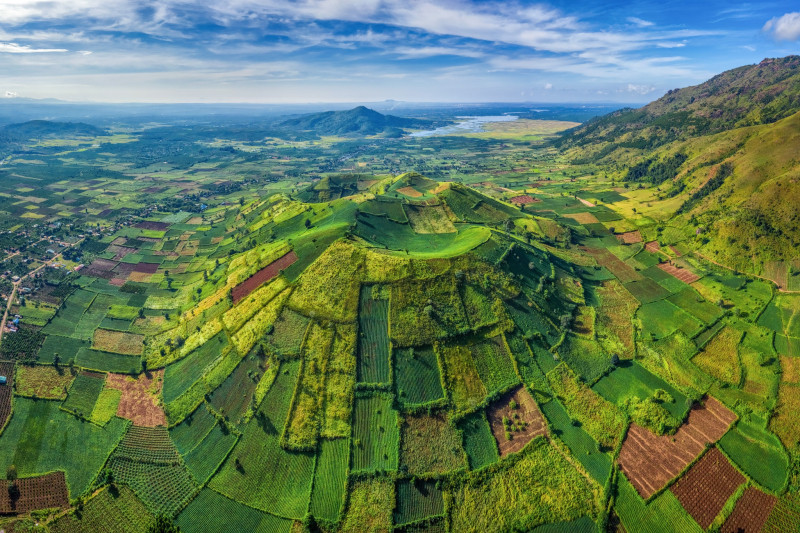 Bài văn tham khảo số 10