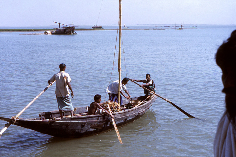 Bài văn phân tích số 5