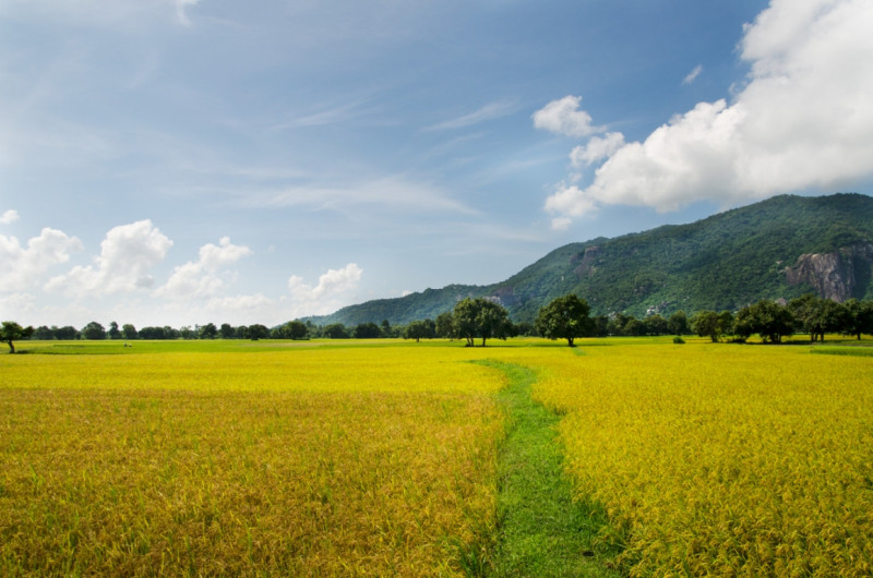 Bài văn phân tích khổ cuối bài thơ 