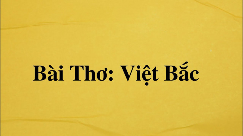 Bài tham khảo số 6