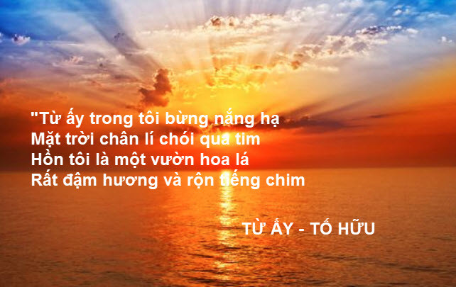 Bài tham khảo số 7