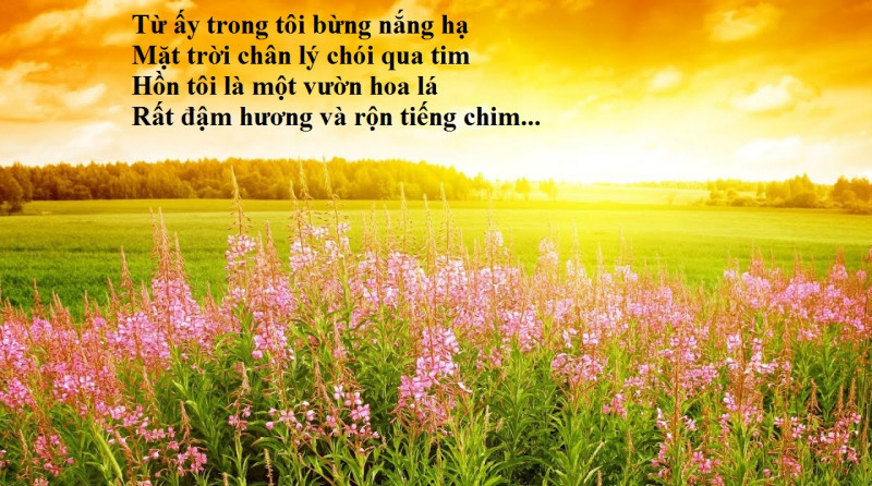 Bài phân tích lý tưởng của thanh niên thông qua bài thơ 