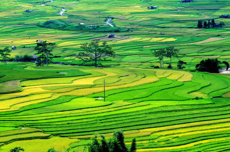 Bài văn so sánh đoàn quân trong 