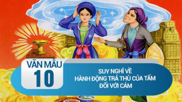 bai-van-suy-nghi-ve-hanh-dong-tra-thu-cua-tam-doi-voi-cam-lop-10-hay-nhat