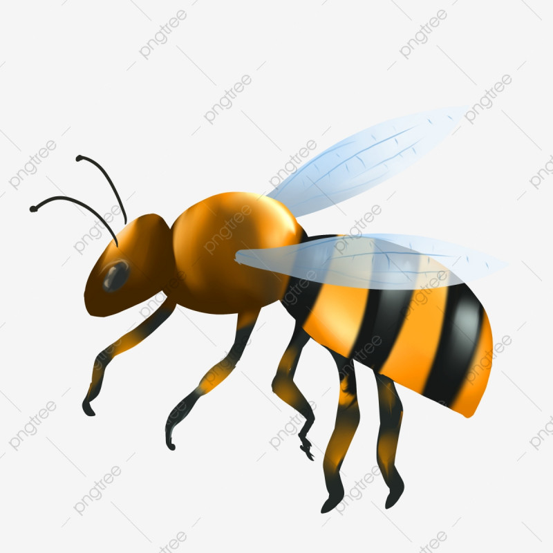 Bài văn tả con ong mật - mẫu 4