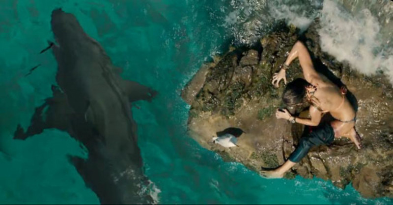 The Shallows (2016)