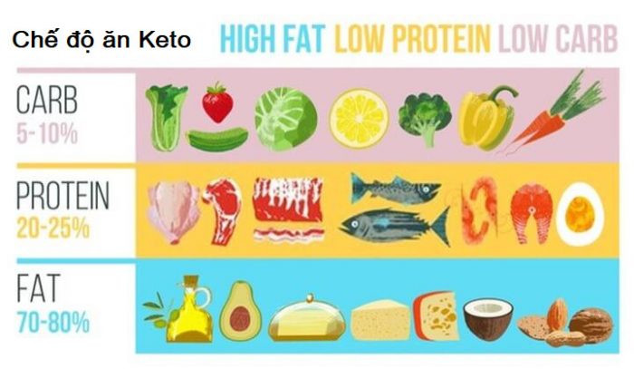 Tăng chất béo, protein vừa phải, cực ít tinh bột