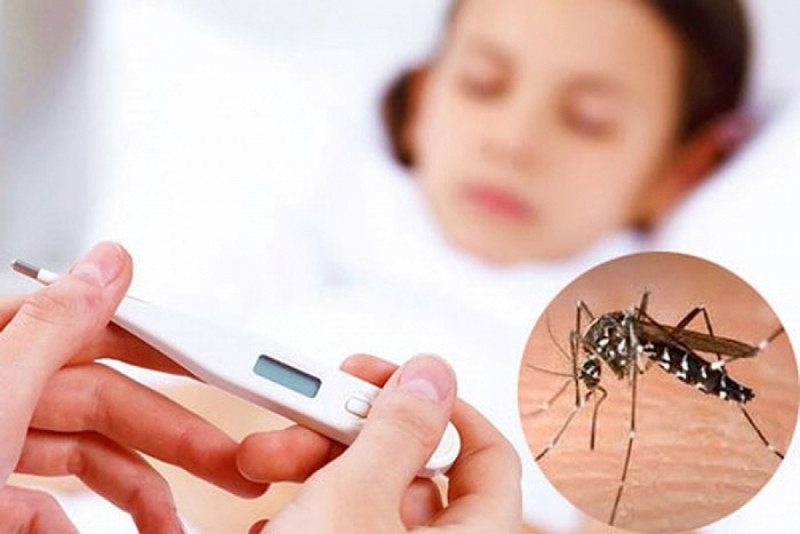 Muỗi vằn - nguyên nhân chủ yếu gây bệnh sốt xuất huyết