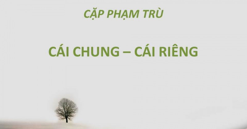 Ảnh minh họa (Nguồn internet)