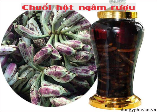 Chuối hột