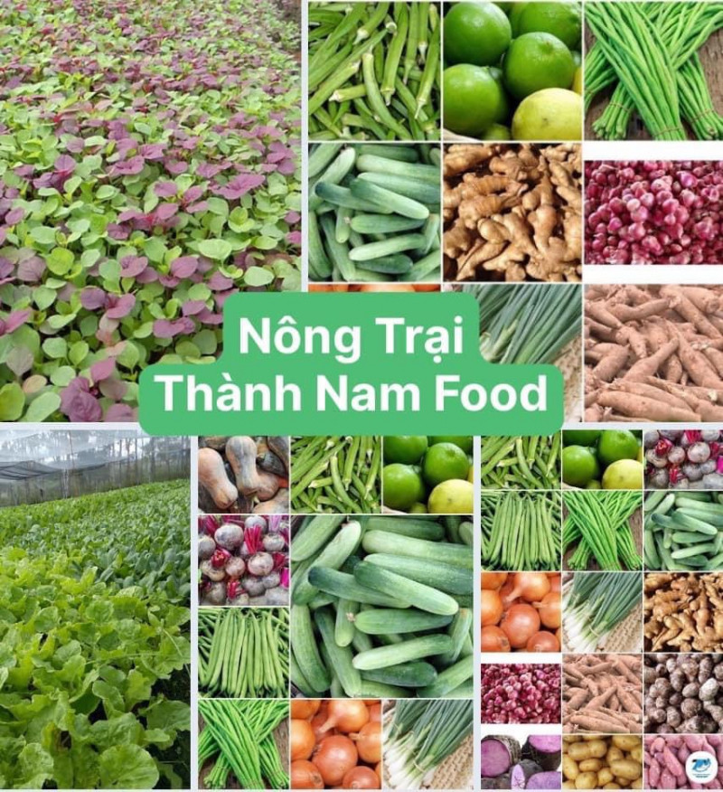 Công ty Thực Phẩm Thành Nam Food