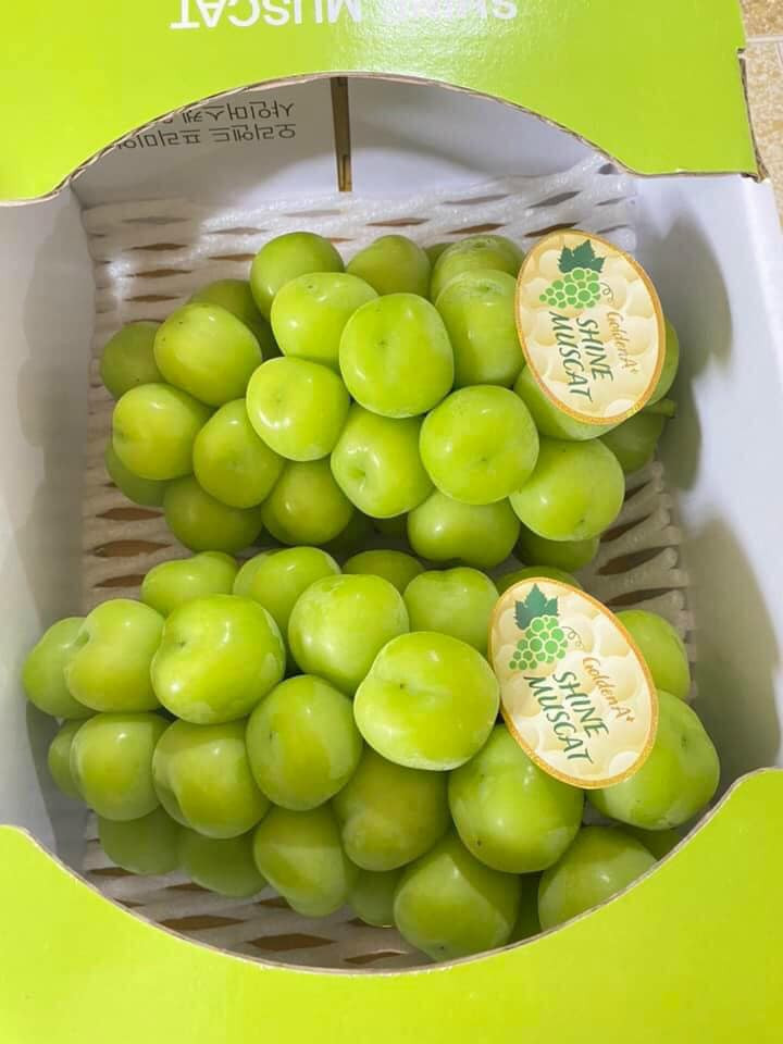 Healthy Fruits Giang Phung