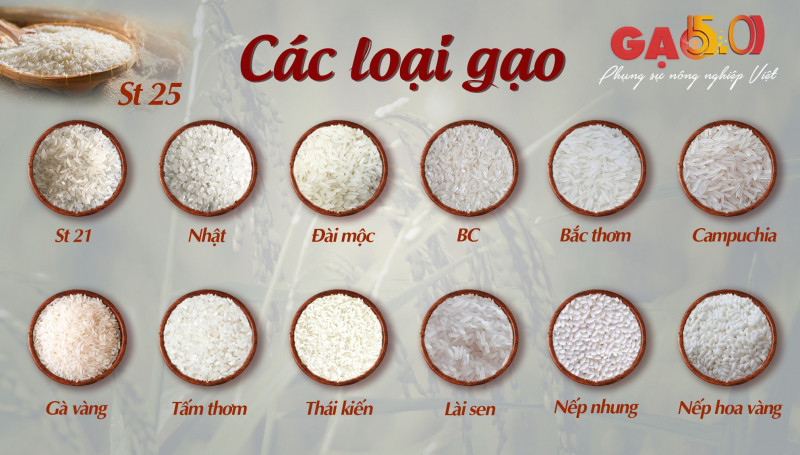 Gạo 5.0 - Điện Biên