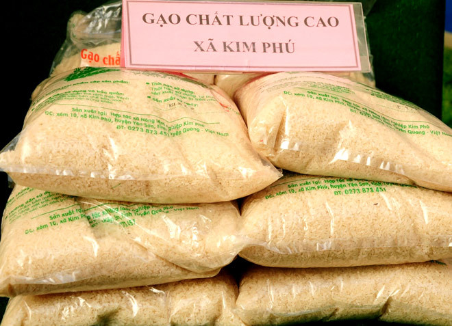 Gạo chất lượng cao Kim Phú