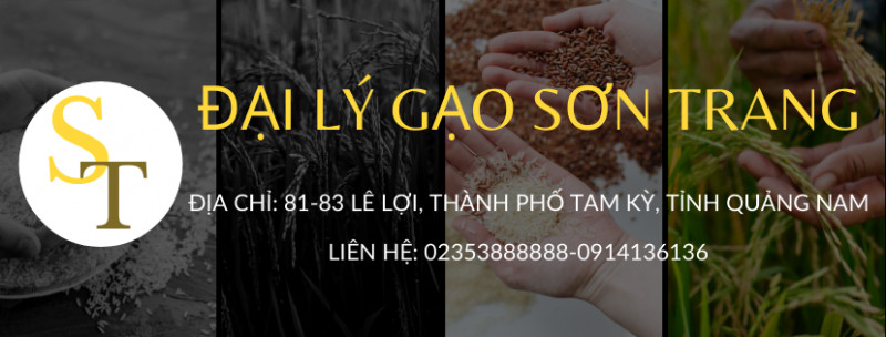 Đại Lý Gạo Sơn Trang