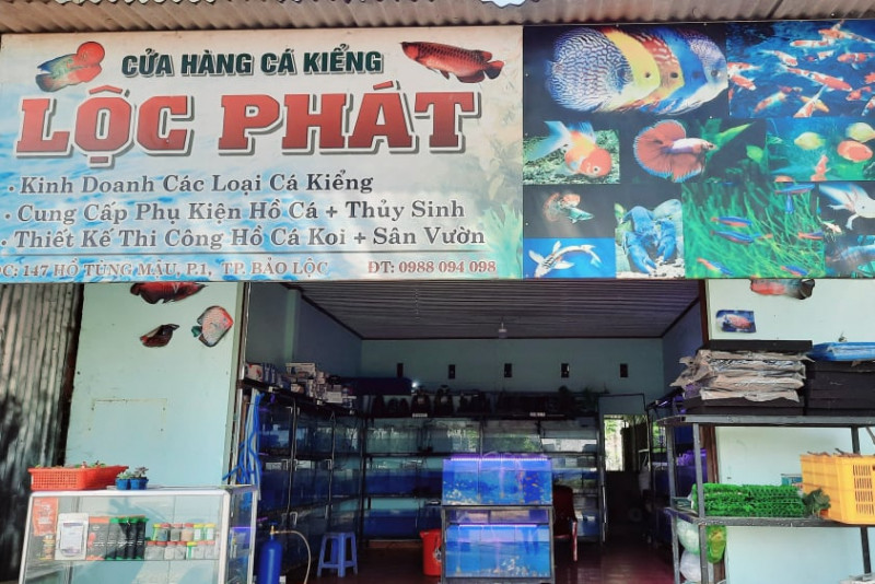 Cá cảnh Thủy Tiên