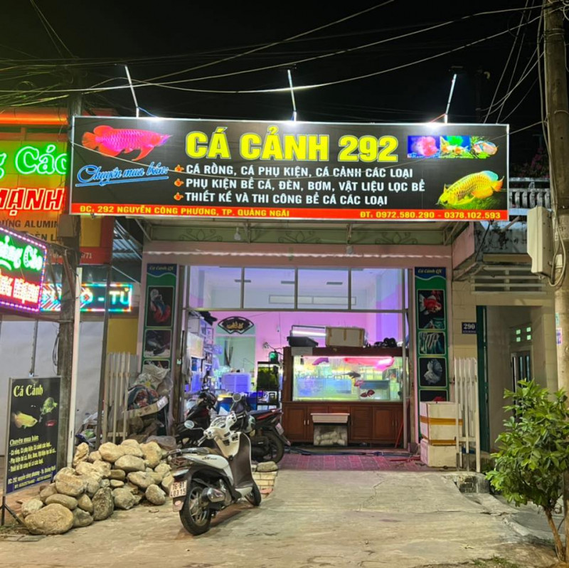 Cá Cảnh 292